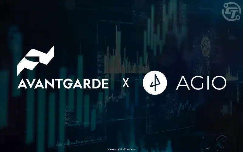 Avantgarde Crypto Equal Weight Fund - Monthly Fact Sheet: November 2023